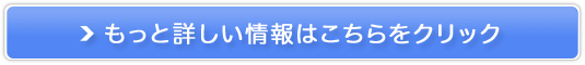 N`C_S[h̔TCg